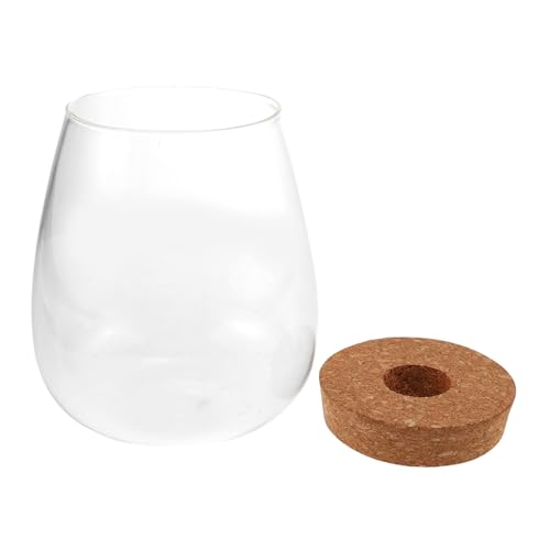 PartyKindom Flasche Fallen Lassen Klare Vase Pflanzen Terrarium Mikrolandschaftsflasche Selber Machen Landschaftsbau Container Hydroponische Flasche Mikrolandschaftsflasche Für DIY Glas von PartyKindom