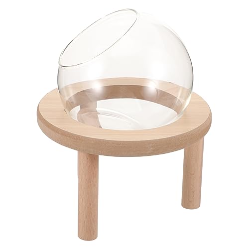PartyKindom Hamstersandbad Box Holzboden Sandbadbox Für Kleine Haustiere Transparente Hamsterbadewanne Für Hamster Und Andere Kleintiere PartyKindom Hamstersandbad Box Holzboden Sandbadbox Für Kleine Haustiere Transparente Hamsterbadewanne Für Hamster Und Andere Kleintiere von PartyKindom
