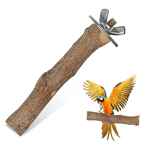 PartyKindom Holz Vogel Sitzstange Natürlicher Halter für Papageien Sittiche und Kleine zu Installieren als Käfigzubehör PartyKindom Holz Vogel Sitzstange Natürlicher Halter für Papageien Sittiche und Kleine zu Installieren als Käfigzubehör von PartyKindom