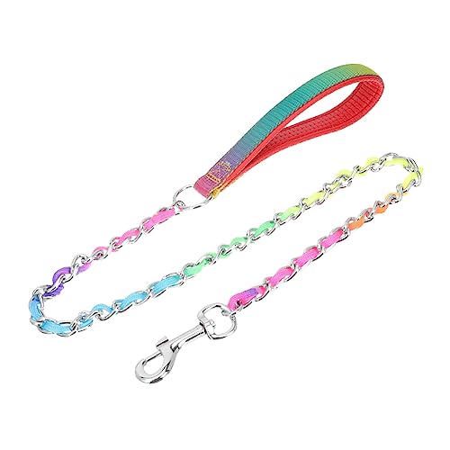 PartyKindom Hundeleine Kontrolle Nicht Haustier kaubar Zahnpasta für Hunde hundegurt hundelaufband Hundeaccessoire hundehalsbänder Outdoor-Hundekette tragbare Kettenleine Rostfreier Stahl von PartyKindom