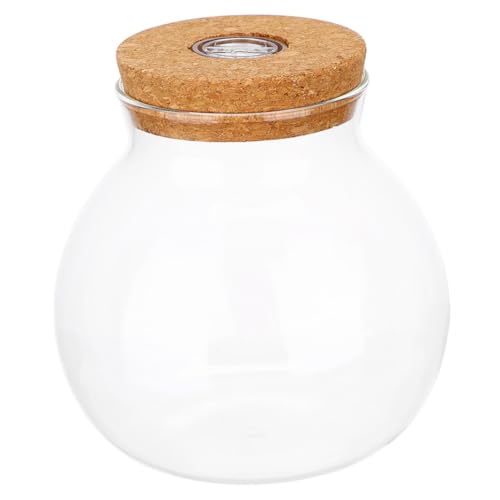 PartyKindom Hydroponisches Glas-Terrarium mit Led-Beleuchtung Runde Desktop-pflanzenvase aus Klarglas mit Korkdeckel Luftdichter Pflanzenbehälter für Zimmerpflanzen Propagationsstation für von PartyKindom