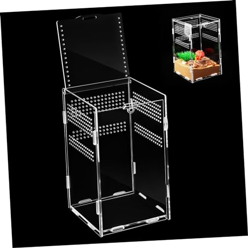 PartyKindom Kasten Fütterungsbox vitrinenschränke insektenbox Haustierbehälter Insekten Box Spinnenbehälter Terrarienset Käfig Reptil Gecko klare Behälter zum Füttern Tarantula -Gehäuse Acryl von PartyKindom