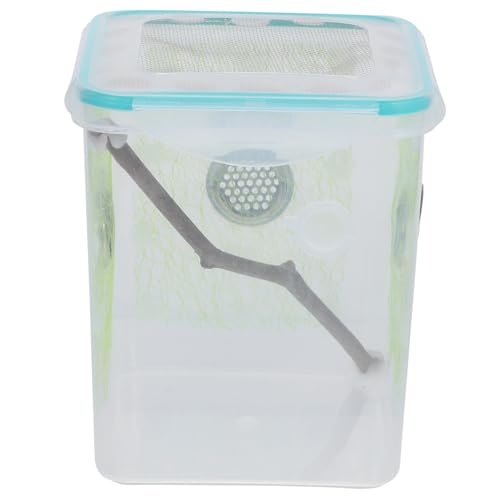 PartyKindom Insektenbox Reptilien-futterbox Transparenter Terrariumbehälter Für Insektenzucht Spinnenbox Kunststoff-Terrarium Habitat-inkubator Futterbehälter Für Mantis Und Andere Kleine von PartyKindom