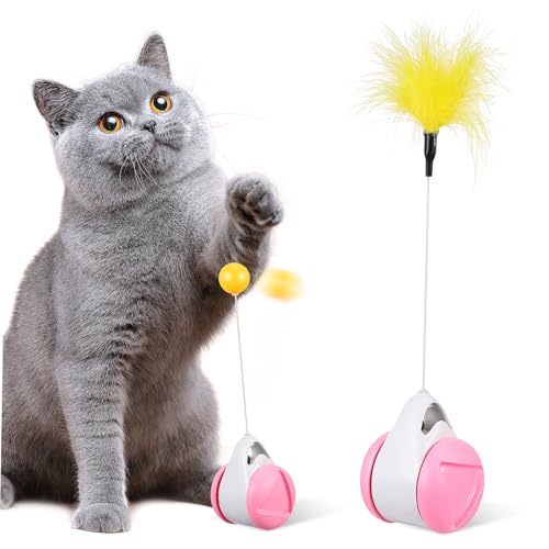 PartyKindom Katzen Zauberstab Spielzeugauto Interaktives Katzenspielzeug Fördert Koordination und Balance für Innenräume Sicher und Einfach zu Bedienen für Katzenbesitzer und Kätzchen PartyKindom Katzen Zauberstab Spielzeugauto Interaktives Katzenspielzeug Fördert Koordination und Balance für Innenräume Sicher und Einfach zu Bedienen für Katzenbesitzer und Kätzchen von PartyKindom