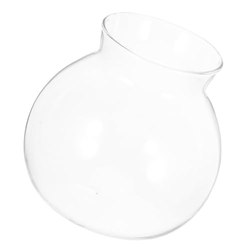 PartyKindom Mikro landschaftsflasche Mittlere aus Glas DIY Betta Fisch Aquarium und Hydrokultur Pflanzenterrarium für Desktop Dekoration Ökologisches ohne Deckel PartyKindom Mikro landschaftsflasche Mittlere aus Glas DIY Betta Fisch Aquarium und Hydrokultur Pflanzenterrarium für Desktop Dekoration Ökologisches ohne Deckel von PartyKindom