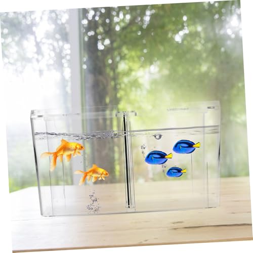 PartyKindom Multifunktionale Fischzuchtbox Aquarium Isolationsbehälter mit Sicherer Aufzuchtfunktion für Kleine Fische und Laich Transparent Schützender Brutkasten für Gesunde Wasserqualität von PartyKindom