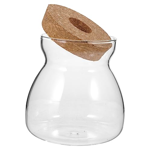 PartyKindom Ökologische Mikrolandschaftsflasche Mini Anlage Mikrolandschaft Terrarium Hydrokulturpflanzen Terrarium Dekorativ Container Pflanzenterrarium Vermehrungsgefäße Glas Transparent von PartyKindom