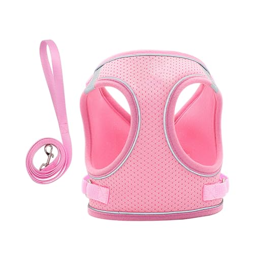 PartyKindom Reflektierendes Hundegeschirr Set mit Brustgeschirr und Leine Atmungsaktiv Leichter Brustgurt für Kleine bis Mittlere Hunde Verstellbar Komfortables Outdoor Zubehör von PartyKindom