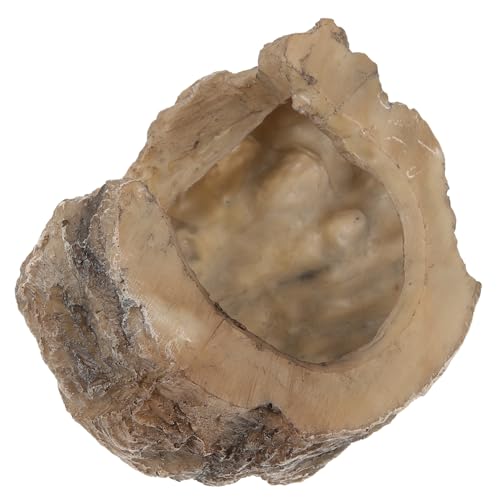 PartyKindom Reptilienversteck Höhle aus Sicherem Resin Natürlicher Lebensraum mit Sonnenplattform für Bartagame Schildkröten und Amphibien Geeignet für Terrarium und Sowie Außenbereich PartyKindom Reptilienversteck Höhle aus Sicherem Resin Natürlicher Lebensraum mit Sonnenplattform für Bartagame Schildkröten und Amphibien Geeignet für Terrarium und Sowie Außenbereich von PartyKindom