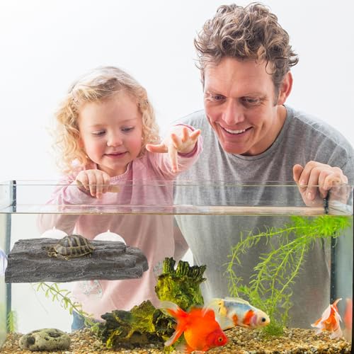 PartyKindom Schildkröten Sonnenplatz mit Starkem Saugnapf Aquarium Dekoration rutschfeste Schildkröten Kletterplattform Multifunktionale Reptilien Sonnenbank und Aquarium Höhle PartyKindom Schildkröten Sonnenplatz mit Starkem Saugnapf Aquarium Dekoration rutschfeste Schildkröten Kletterplattform Multifunktionale Reptilien Sonnenbank und Aquarium Höhle von PartyKindom