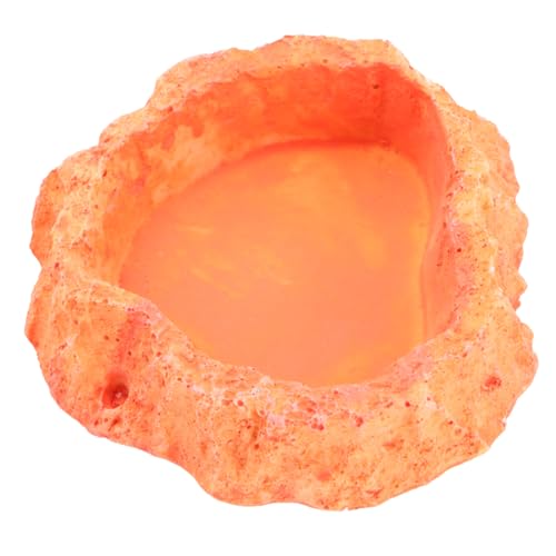 PartyKindom Simulation Bowl für Reptilien rutschfeste Futterschale aus Hochwertigem Material für Eidechsen und Schildkröten Orange zu Reinigen Perfektes Futter PartyKindom Simulation Bowl für Reptilien rutschfeste Futterschale aus Hochwertigem Material für Eidechsen und Schildkröten Orange zu Reinigen Perfektes Futter von PartyKindom