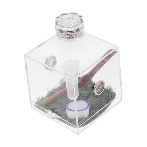 PartyKindom Springspinne Habitat Box Hochtransparentes Spinnen Terrarium für Beobachtung und Pflege von Springspinnen Teiliges von PartyKindom
