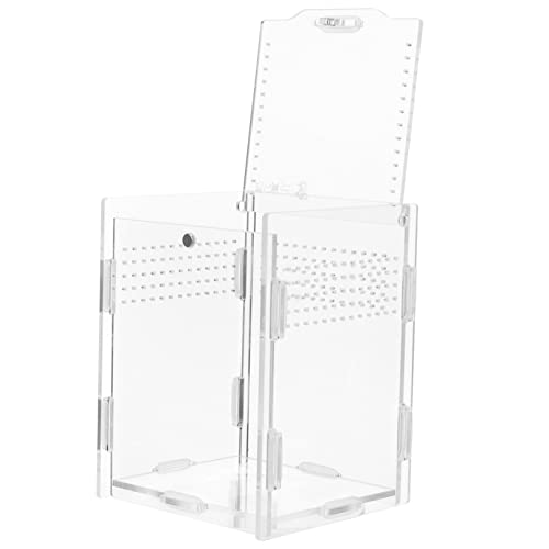 PartyKindom Terrarium Futterbox mit Belüftung Transparente Reptilien Aufzuchtbox für Kleine Haustiere Wie Geckos und Spinnen Bruchsicher Vielseitig für Terrarienhaltung Geeignet PartyKindom Terrarium Futterbox mit Belüftung Transparente Reptilien Aufzuchtbox für Kleine Haustiere Wie Geckos und Spinnen Bruchsicher Vielseitig für Terrarienhaltung Geeignet von PartyKindom