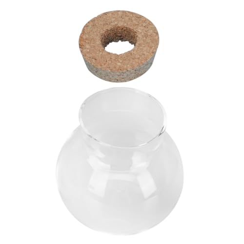 PartyKindom Terrarium mit Holzverschluss Transparentes Hydroponik Pflanzgefäß Multifunktionaler Tischdeko Fischbehälter für Wasserpflanzen und Moos Stilvolle Wohnraumdekoration PartyKindom Terrarium mit Holzverschluss Transparentes Hydroponik Pflanzgefäß Multifunktionaler Tischdeko Fischbehälter für Wasserpflanzen und Moos Stilvolle Wohnraumdekoration von PartyKindom
