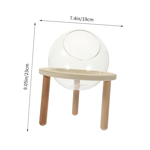 PartyKindom Transparente Hamster badewanne Sandbad Sandbehälter Kleintier badezubehör Vielseitig Nutzbar als Toilette Futterstation Kleiner Hamster von PartyKindom