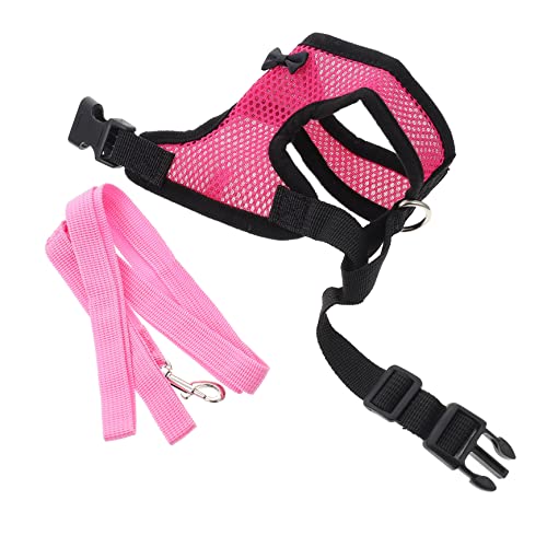 PartyKindom Verstellbares Hühnergurt Set mit Leine Atmungsaktive Weste für Hühner Komfortable Trainingsausrüstung für Hennen Geschirr für Outdoor Aktivitäten Rosa von PartyKindom