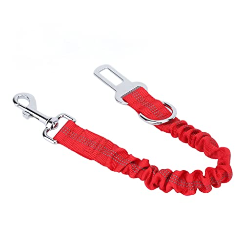 Pasamer Elastisches Hundehalsband, 3 in 1 reflektierendes, explosionsgeschütztes Hundehalsband, sehr einfach zu verwenden für das Campingtraining Rot von Pasamer