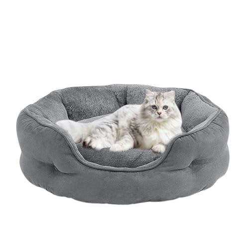 Pasbuteiy Katzen Sofa Bett | Winterwarmer Indoor Hundeschlafplatz,Antirutsch Tierliege Für Kleine Mittelgroße Große Kitten Welpen Pasbuteiy Katzen Sofa Bett | Winterwarmer Indoor Hundeschlafplatz,Antirutsch Tierliege Für Kleine Mittelgroße Große Kitten Welpen von Pasbuteiy