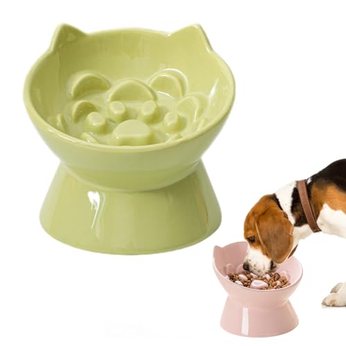 Pasdrucn Anti Schling Napf Katzen Keramik, Katzennapf Keramik Futternapf Katze, Anti Schling Napf Hund, Slow Feeder Katze Nassfutter, Fressnapf Katze Katzennapf Erhöht Mit Napf Ständer Holz (Grün) von Pasdrucn