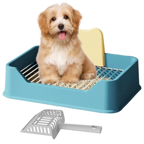 Pasdrucn Hundetoilette Wohnung Mit Schaufel, Balkon Indoor Hundetoilette Mit Tablett,Schnelle Drainage, Hundeklo Für Zuhause, Hundekotsammler Mit Urin Trennwand (Blau) von Pasdrucn