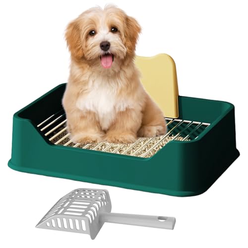 Pasdrucn Hundetoilette Wohnung Mit Schaufel, Balkon Indoor Hundetoilette Mit Tablett,Schnelle Drainage, Hundeklo Für Zuhause, Hundekotsammler Mit Urin Trennwand (Grün) von Pasdrucn
