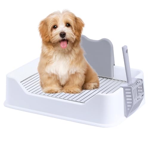Pasdrucn Hundetoilette Wohnung Mit Schaufel, Balkon Indoor Hundetoilette Mit Tablett,Schnelle Drainage, Hundeklo Für Zuhause, Hundekotsammler Mit Urin Trennwand (Weiß) von Pasdrucn
