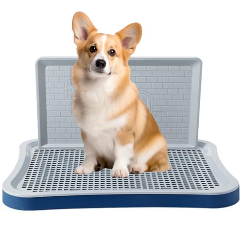 Pasdrucn Hundetoilette Wohnung Mit Schaufel, Welpentoilette Für Kleine Hunde, Balkon Indoor Hundetoilette Mit Tablett,Schnelle Drainage, Hundekotsammler Mit Urin Trennwand (Cyan) von Pasdrucn