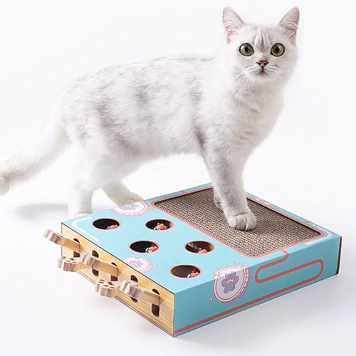 Pasdrucn Whack A Mole-Spiel, Katzenspielzeug Interaktives, Katzen Spielzeug, Cat Toys, Katzenspielzeug Intelligenz Spielzeug Für Katzen, Katzen Spielzeug Kitten, Intelligenzspielzeug Für Katzen Pasdrucn Whack A Mole-Spiel, Katzenspielzeug Interaktives, Katzen Spielzeug, Cat Toys, Katzenspielzeug Intelligenz Spielzeug Für Katzen, Katzen Spielzeug Kitten, Intelligenzspielzeug Für Katzen von Pasdrucn