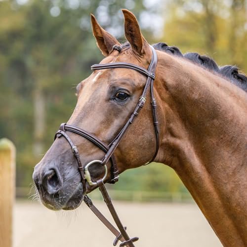 Passier Trense Fly High anatomisch geformt ENGL. Reithalfter Havanna Messing (Vollblut (Cob)) von Passier