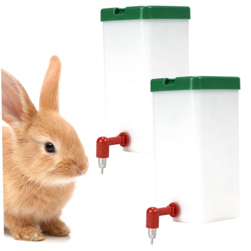 2pcs Kaninchen Wasserflasche 1L Leckkraft mit leckerem Kapazität mit rostfreiem Stahlnippel für kleine Hampshamster -Meerschweinchen, Wasserflasche, Hasenspender 2pcs Kaninchen Wasserflasche 1L Leckkraft mit leckerem Kapazität mit rostfreiem Stahlnippel für kleine Hampshamster -Meerschweinchen, Wasserflasche, Hasenspender von Pastoralist