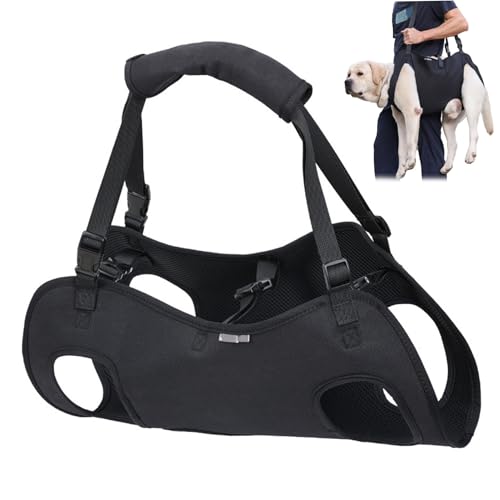 Einstellbarer Hundeschließträger, Oxford -Stoff -Haustier -Stützkabelbaum mit Griff, Rehabilitationshilfe für behinderte alte Hunde, komfortable Hubschlinge (XL) von Pastoralist