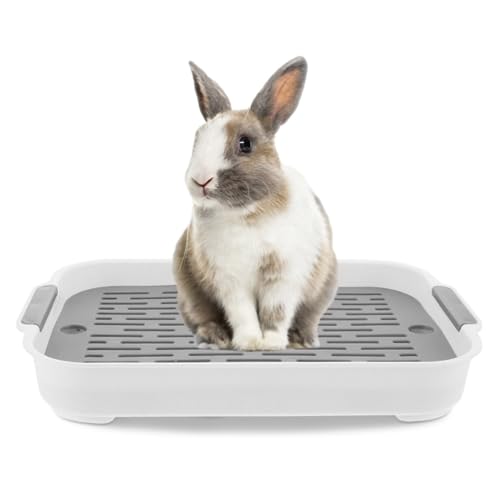 Hasen -Toiletten -Trainer | Kaninchendrülertablett 2 Tier Kaninchen Katzentoilette Plastik Rechteckige Hasen Pier Toilette Töpfchentrainer Bettwäsche für Meerschweinchen -Hasen Frettchen Hamster Igel Hasen -Toiletten -Trainer | Kaninchendrülertablett 2 Tier Kaninchen Katzentoilette Plastik Rechteckige Hasen Pier Toilette Töpfchentrainer Bettwäsche für Meerschweinchen -Hasen Frettchen Hamster Igel von Pastoralist