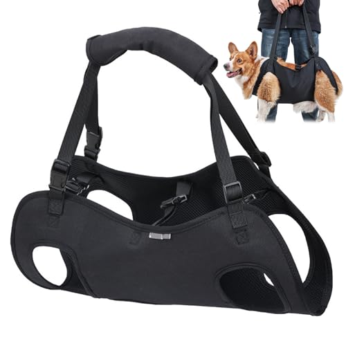 Hundeliftgabeless Verstellbarer Hund Schlinge Träger mit Griff & Fixierende Schnalle Oxford -Stoff mit Schlinge für Behinderte/Altenhunde & Rehabilitation, M, Tragen, Hebebaum Hundeliftgabeless Verstellbarer Hund Schlinge Träger mit Griff & Fixierende Schnalle Oxford -Stoff mit Schlinge für Behinderte/Altenhunde & Rehabilitation, M, Tragen, Hebebaum von Pastoralist