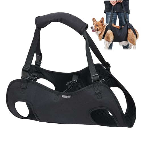 Hundeliftgurt für große Hunde, Verstellbarer Hundeschlingerträger mit Griff und reparierende Schnalle, atmungsaktives Oxford -Stoffhund, der Schlinge trägt, Haustierrehabilitation Aufträge für Behind Hundeliftgurt für große Hunde, Verstellbarer Hundeschlingerträger mit Griff und reparierende Schnalle, atmungsaktives Oxford -Stoffhund, der Schlinge trägt, Haustierrehabilitation Aufträge für Behind von Pastoralist