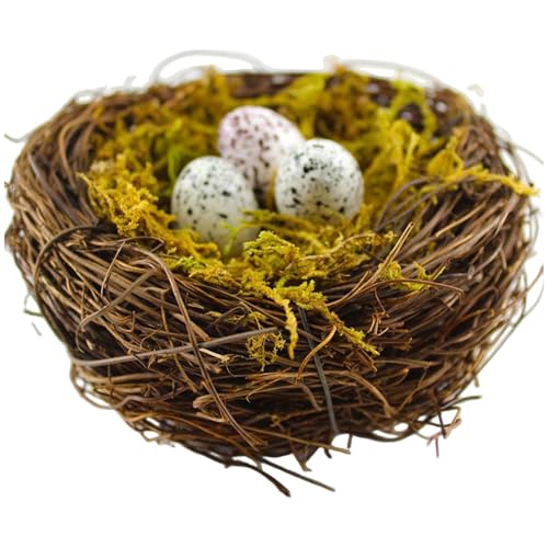 Vogelnest, 7, 9 x 3, 2 Zoll Simulation Rattan Vogelnester für Handwerk mit 3 Eiern, perfekt für Garten, Garten, Zuhause, Party, Osterdekor, Vögel Nest Vogelnest, 7, 9 x 3, 2 Zoll Simulation Rattan Vogelnester für Handwerk mit 3 Eiern, perfekt für Garten, Garten, Zuhause, Party, Osterdekor, Vögel Nest von Pastoralist