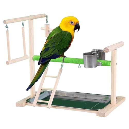 Vogelstange für Käfig, 36x34 cm Holzvogel Barch mit gefrostetem Stangen & Tablett, Anti-Rutsch-Vogelspielständer mit Clipbechern, natürlichen Holzvogelspielzeug, Vogelstangen für Papageien Vogelstange für Käfig, 36x34 cm Holzvogel Barch mit gefrostetem Stangen & Tablett, Anti-Rutsch-Vogelspielständer mit Clipbechern, natürlichen Holzvogelspielzeug, Vogelstangen für Papageien von Pastoralist