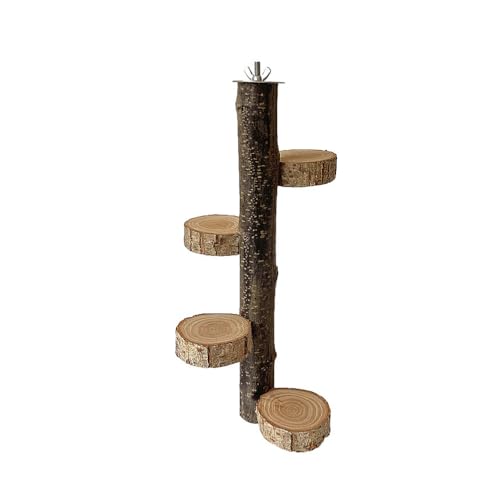 Holz-Vogel-Sitzstange, Spielzeug, 30cm Papageien-Sitzstange, Vogelkäfig, AST-Sitzstange, Zubehör Für Sittiche, Nymphensittiche, Aras, Finken, Liebesvögel (Runder Block) von PatPatPet