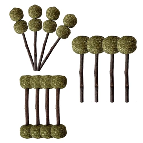 PatPatPet 12PCS 3 Arten Von Kombiniertem Kauspielzeug Backenzahnstäbchen Mit Naturholz Lieschgras Für Haustiere Chinchilla Eichhörnchen Gerbil Hamster Eichhörnchen Meerschweinchen von PatPatPet
