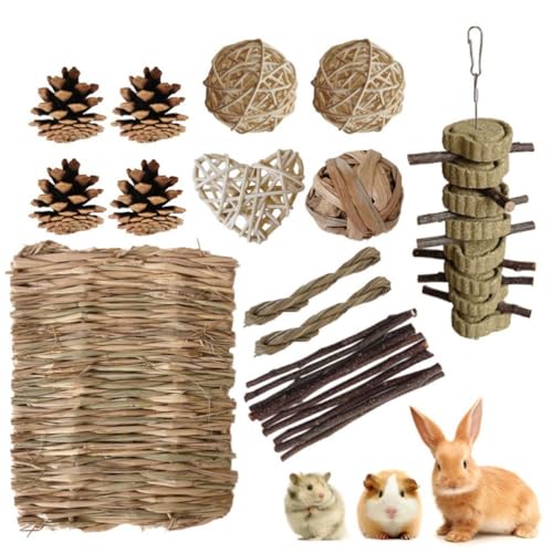 PatPatPet 22pcs Bunny Hamsters Chew Toys Set, Stroh Gewebt Bett Matte & Kaninchen Haustier Zahn Bio Natürlichen Apfel Holz Gras Kuchen Ideal Für Chinchilla, Meerschweinchen, Syrische Ratte, Vögel von PatPatPet