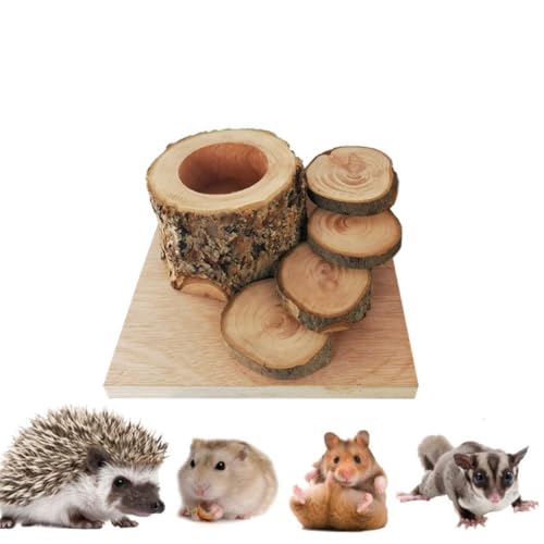 PatPatPet Hamster Apfel Holz Fütterung Tassen Igel Anti-Tip Fütterung Schüssel Golden Hamster Holz Kletterleiter Holzschüssel Spielzeug Kletterstufen PatPatPet Hamster Apfel Holz Fütterung Tassen Igel Anti-Tip Fütterung Schüssel Golden Hamster Holz Kletterleiter Holzschüssel Spielzeug Kletterstufen von PatPatPet