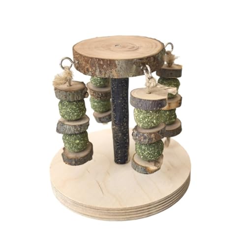 PatPatPet Hamsterspielzeug Aus Holz Mit Knabbernden Grasbällen Und Holzklötzen, Hamsterkäfig-Dekorationen von PatPatPet