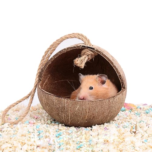 PatPatPet Versteckhaus Aus Kokosnussschalen Für Hamster, Einsiedlerkrebse, Reptilien, Igel, Meerschweinchen, Natürliche Lebensraumkäfigdekoration, Kleintierversteck (Rechter Winkel) von PatPatPet