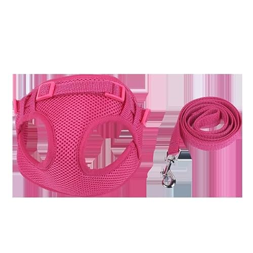 Atmungsaktives, verstellbares und sicheres Geschirrset aus Netzstoff, ideal für Bequeme Spaziergänge und Outdoor-Aktivitäten mit Haustieren. Atmungsaktives, verstellbares und sicheres Geschirrset aus Netzstoff, ideal für Bequeme Spaziergänge und Outdoor-Aktivitäten mit Haustieren. von Patapalooza