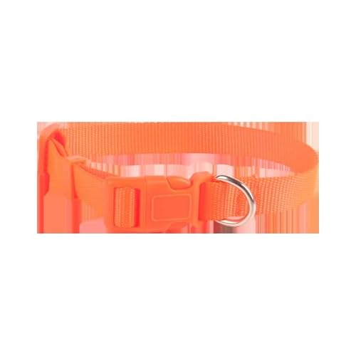 Glattes Nylonhalsband mit Sicherheitsschnalle, robust und verstellbar. Ideal für kleine Hunde, sorgt für Komfort und Sicherheit. von Patapalooza
