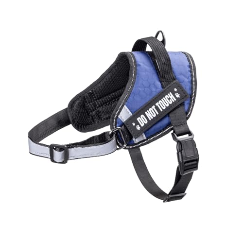 Hundegeschirr mit einfacher Anpassung, Robustes und gepolstertes Material, ideal für Spaziergänge, Training und Kontrolle im Freien. Hundegeschirr mit einfacher Anpassung, Robustes und gepolstertes Material, ideal für Spaziergänge, Training und Kontrolle im Freien. von Patapalooza