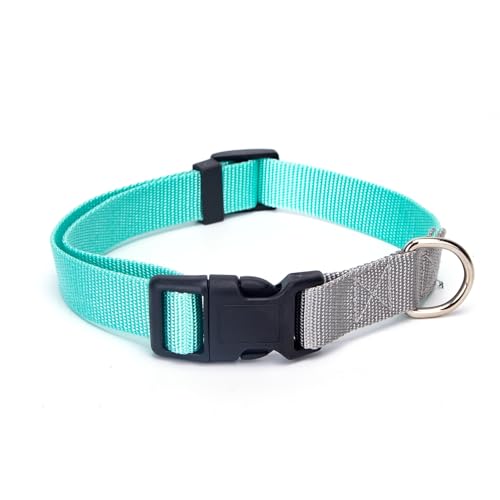 Hundehalsband, robust, verstellbar und bequem, ideal für Spaziergänge und Ausbildung. von Patapalooza