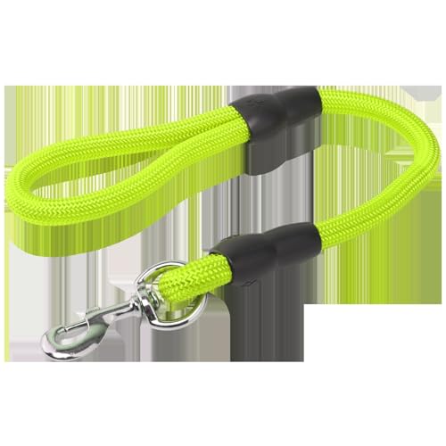 Hundehalsband, robust und verstellbar, ideal für Spaziergänge, Training und Outdoor-Aktivitäten. von Patapalooza