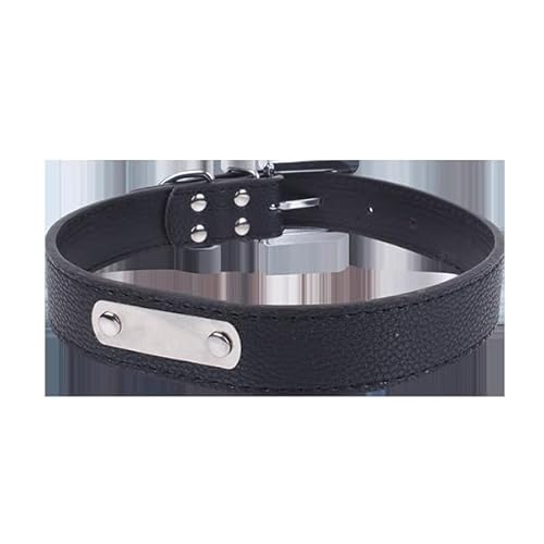 Katzenhalsband aus PU mit Metallblech, verstellbar und robust, ideal für Spaziergänge und Tiersicherheit. Katzenhalsband aus PU mit Metallblech, verstellbar und robust, ideal für Spaziergänge und Tiersicherheit. von Patapalooza