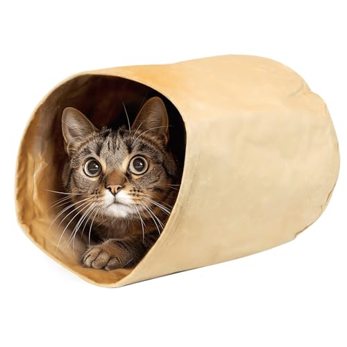 Katzenspielzeug aus Kraftpapier, robust und umweltfreundlich, ideal für die Unterhaltung und geistige Übung Ihrer Haustiere. von Patapalooza