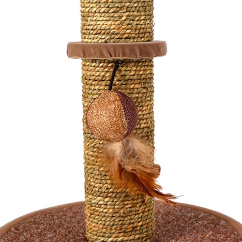 Kratzbaum für Katzen an der Säule mit Sisaloberfläche, robuster Basis und Plattformen, ideal für die Nagelpflege und Katzenunterhaltung. von Patapalooza